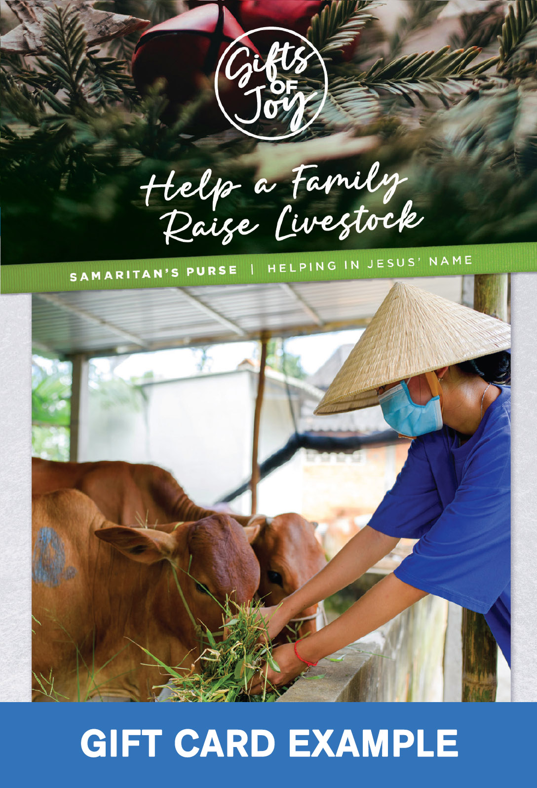 Help a Family Raise Livestock - Image 4