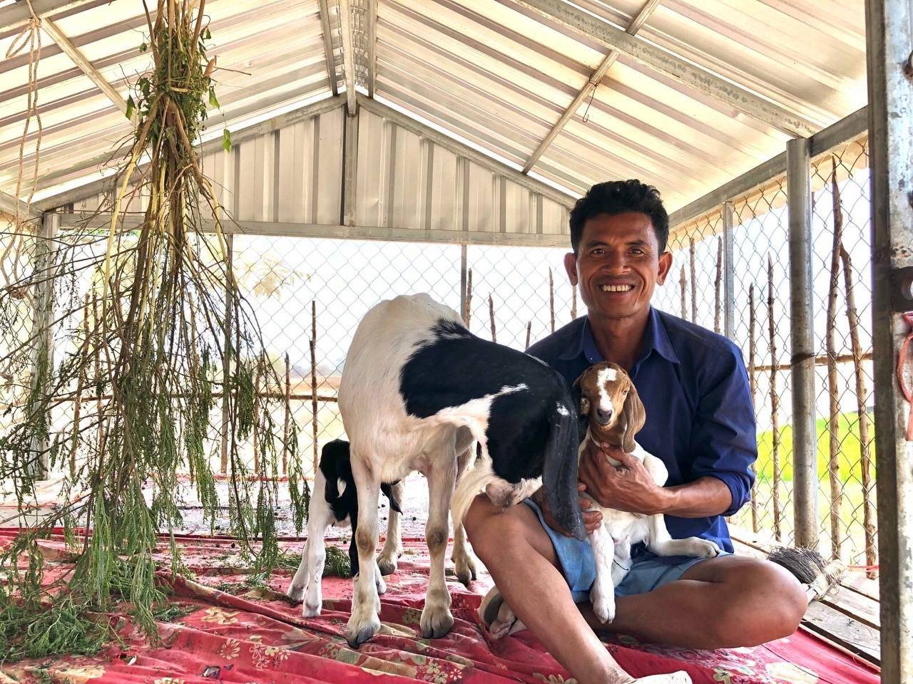 Animals and Agriculture - Image 2