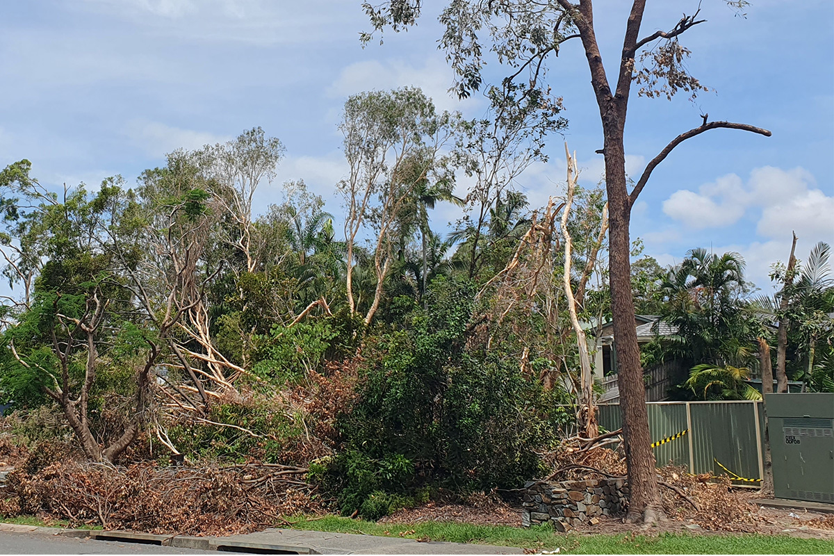 Gold Coast Summer Storms - Image 3