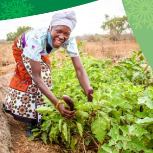 Help a Farming Family